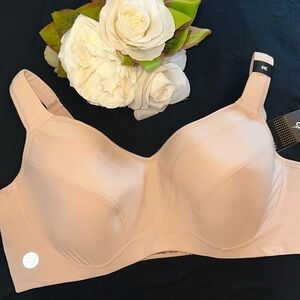 Torrid Active Sports Bra Tan 44C Med Support